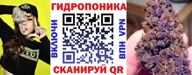 Где купить наркоту Сясьстрой Галлюциногенные грибы  А ПВП  Меф  ГАШ 