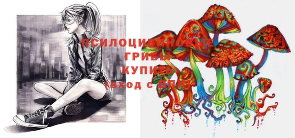 ГАЛЛЮЦИНОГЕННЫЕ ГРИБЫ Алексеевка