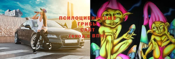 ГАЛЛЮЦИНОГЕННЫЕ ГРИБЫ Алексеевка