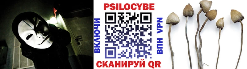 Галлюциногенные грибы мицелий  Сясьстрой 